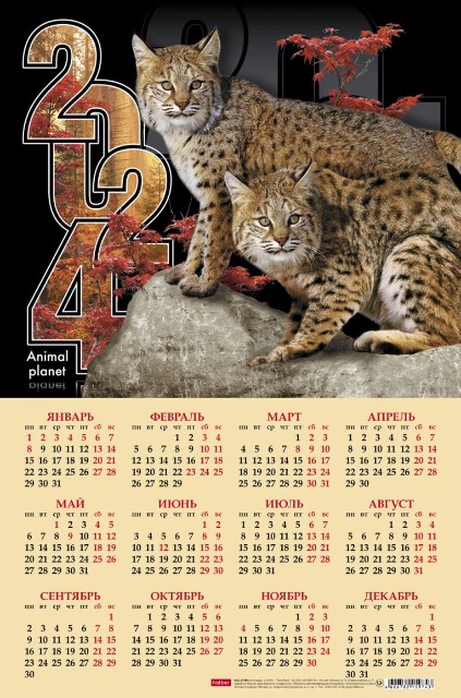 Календарь листовой 2024 Кл3_11866 Дикие кошки