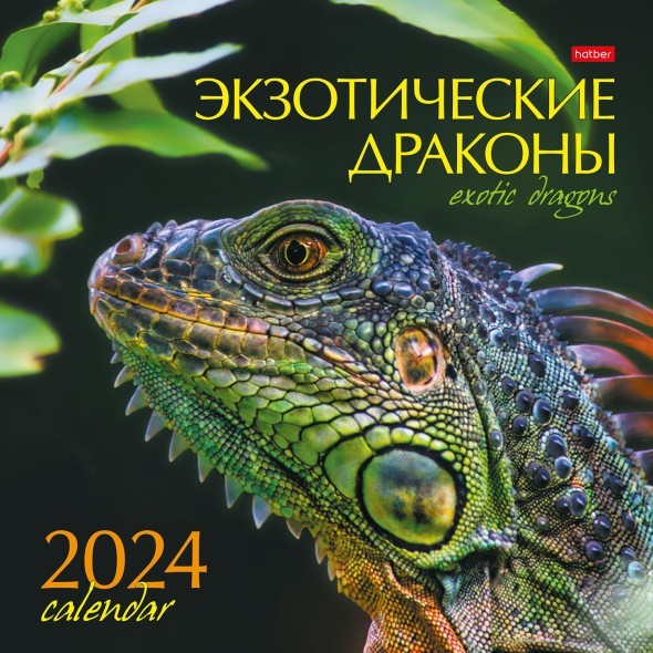 Календарь настенный 2024 6Кнп4_29795 Экзотические драконы. Год дракона Превью 0